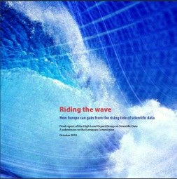 riding the wave.jpg riding the wave.jpg